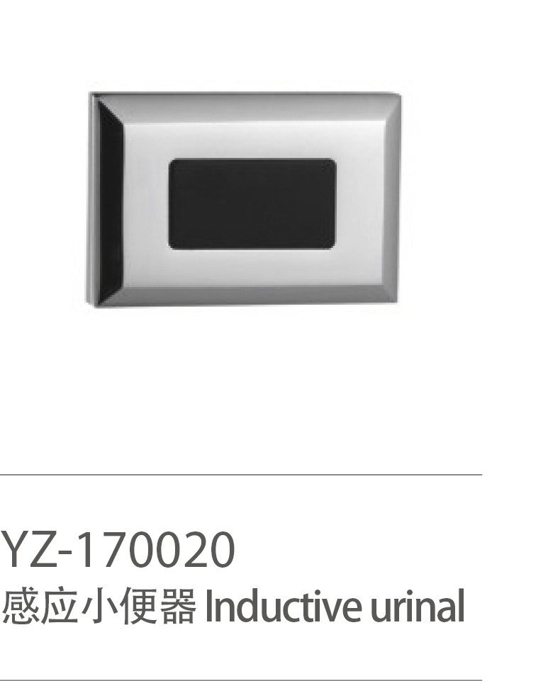 YZ-170020